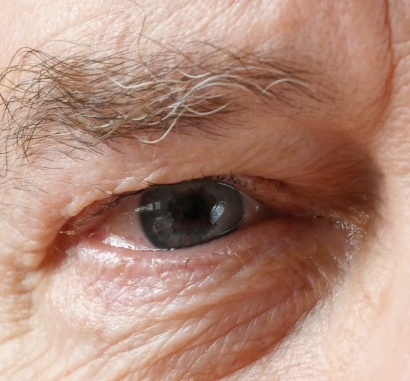 specjalizacja
